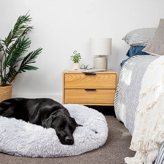 Lisslune | FUZZYPLUSH – Orthopedic Plush Dog Bed for Deep Sleep