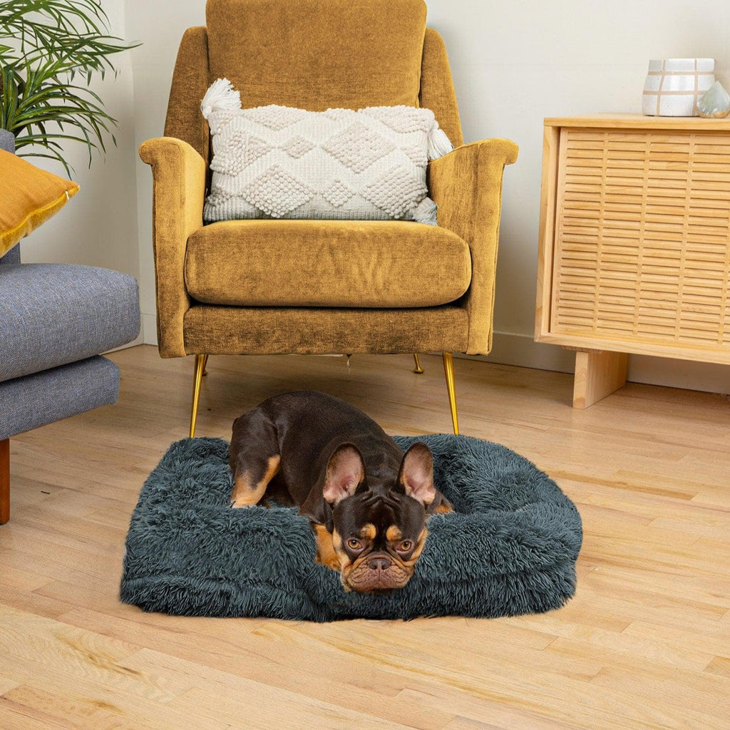 Lisslune | SNUGPAW - Orthopedic Dog Bed