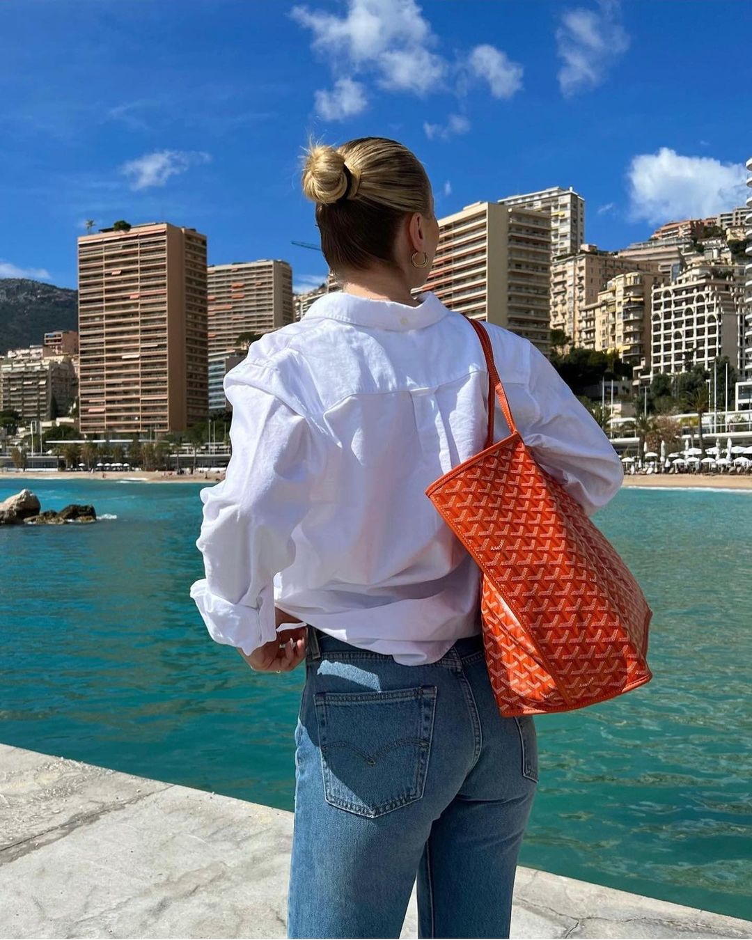 Lisslune | Bag - Stylish companion for any occasion