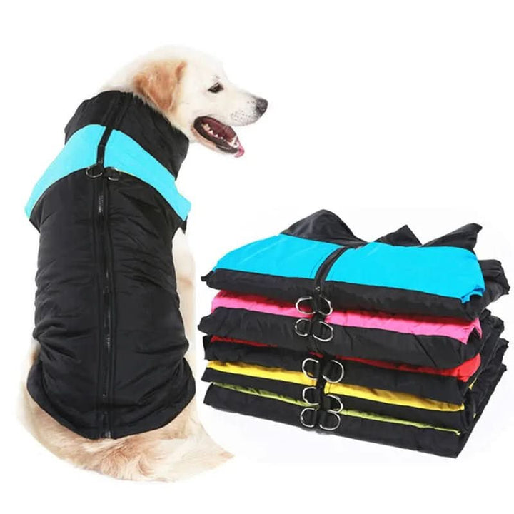 Lisslune | Winter jacket for dogs with protection & comfort