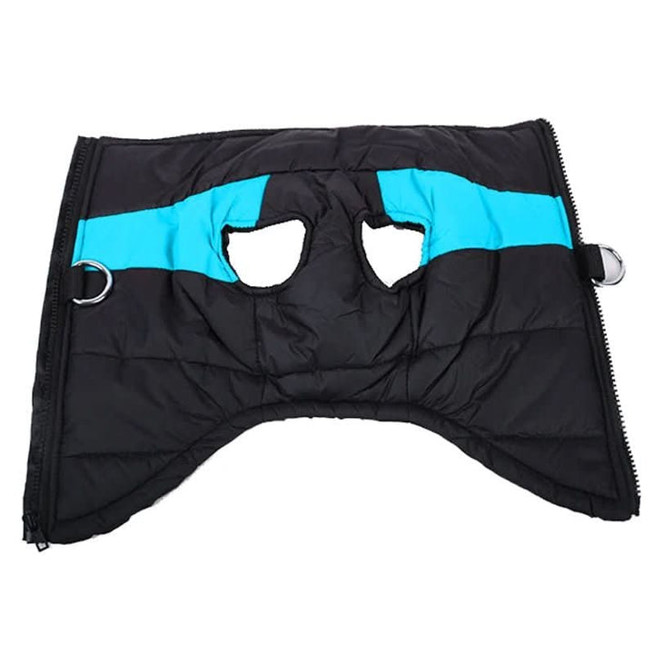 Lisslune | Winter jacket for dogs with protection & comfort