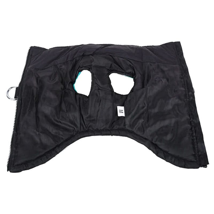 Lisslune | Winter jacket for dogs with protection & comfort