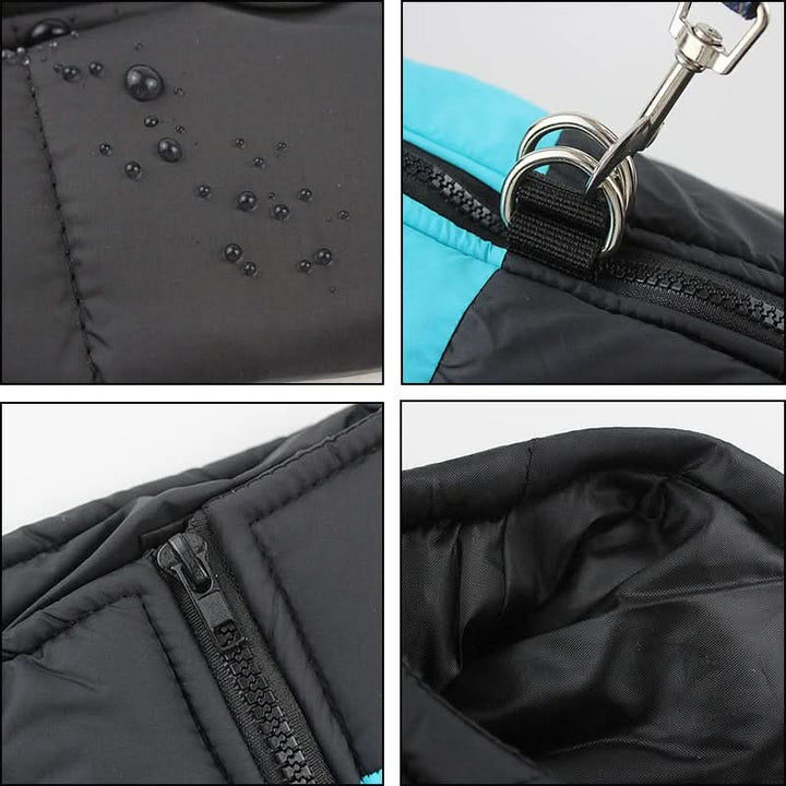 Lisslune | Winter jacket for dogs with protection & comfort
