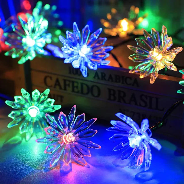 Lisslune | Peach Blossom Fairy Lights