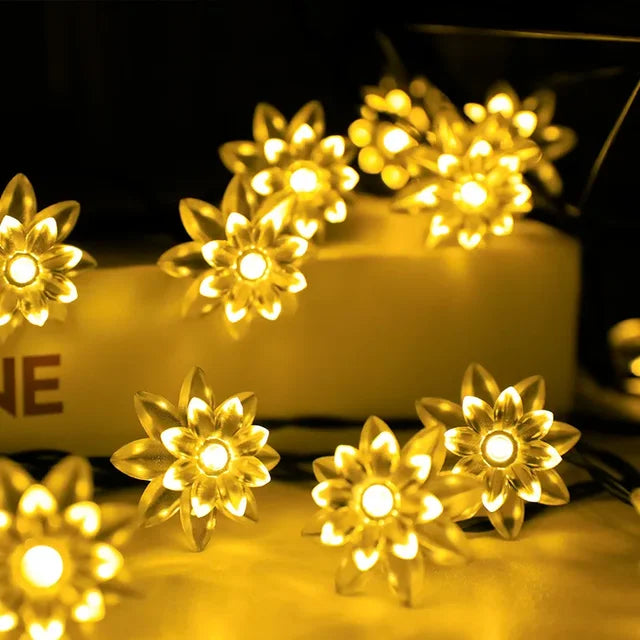 Lisslune | Peach Blossom Fairy Lights