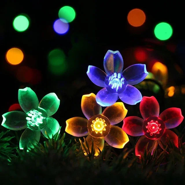 Lisslune | Peach Blossom Fairy Lights