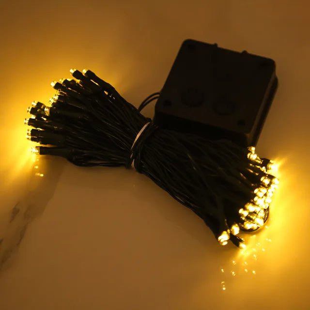 Lisslune | Peach Blossom Fairy Lights