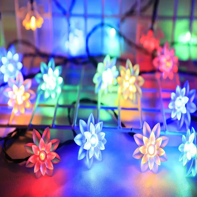 Lisslune | Peach Blossom Fairy Lights