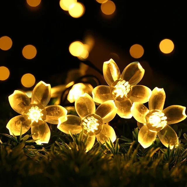 Lisslune | Peach Blossom Fairy Lights