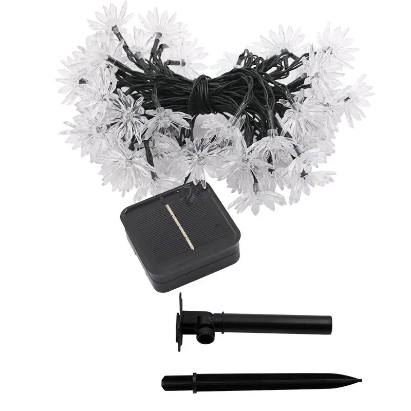 Lisslune | Peach Blossom Fairy Lights