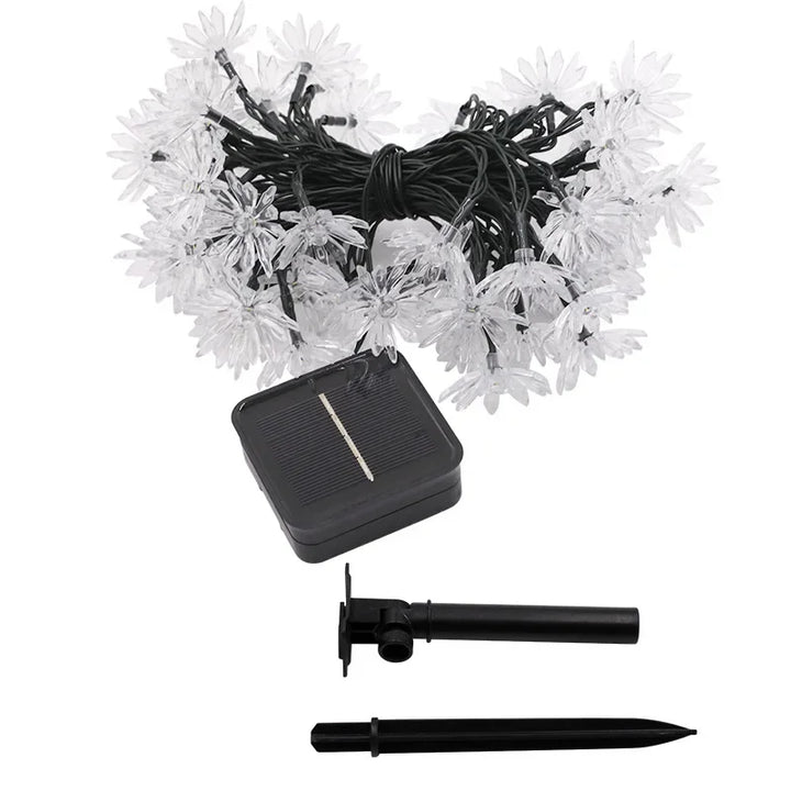 Lisslune | Peach Blossom Fairy Lights