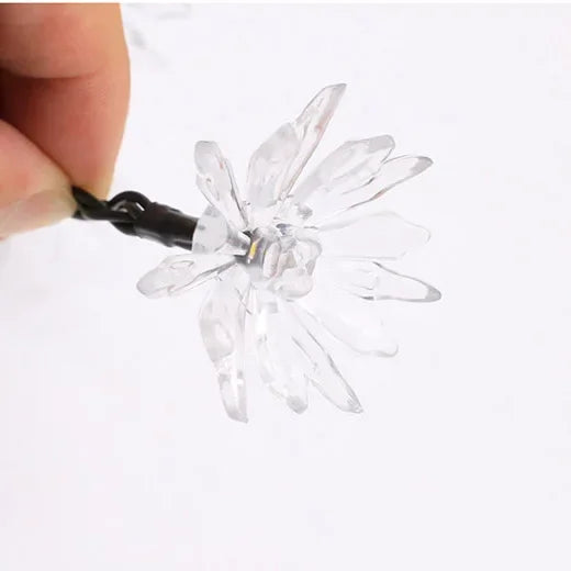 Lisslune | Peach Blossom Fairy Lights