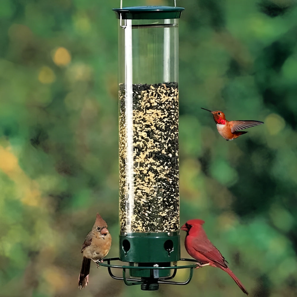 Lisslune | Squirrel-Proof Bird Feeder