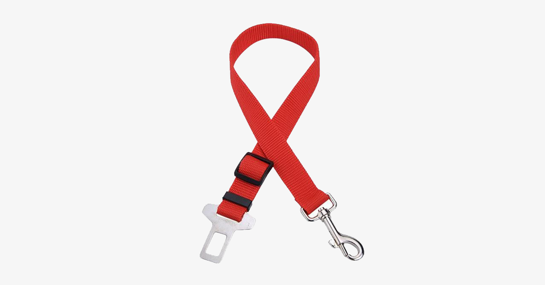 Lisslune | Buckles Pet Safety Adjustable Safety Belts