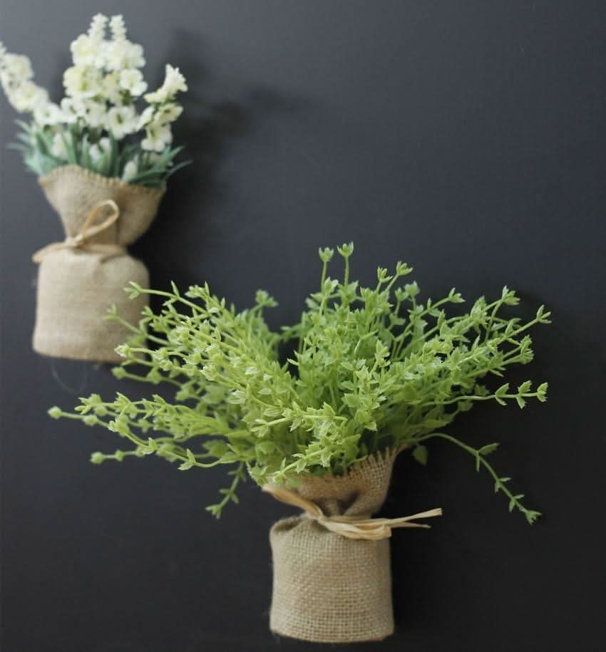 Lisslune | MAGNALEAF - Magnetic Mini Planters