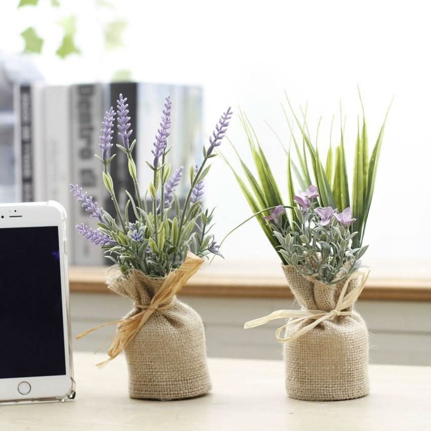 Lisslune | MAGNALEAF - Magnetic Mini Planters