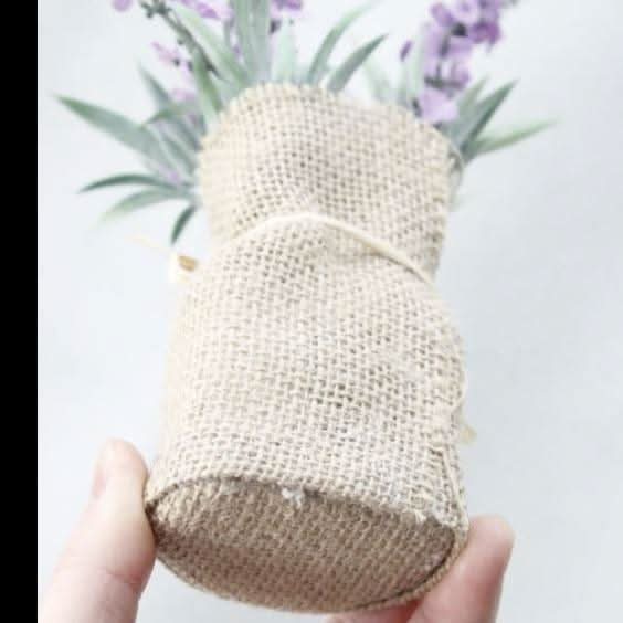 Lisslune | MAGNALEAF - Magnetic Mini Planters
