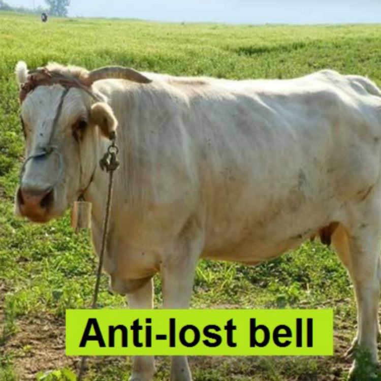 Special loud thick cow horse sheep farm animals anti-loss loud bell, SIZE:XL
