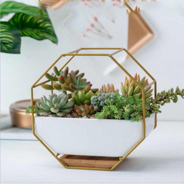 Lisslune | Simple octagonal geometric wall-mounted table succulent plate bamboo support iron frame flower pot (Gold)