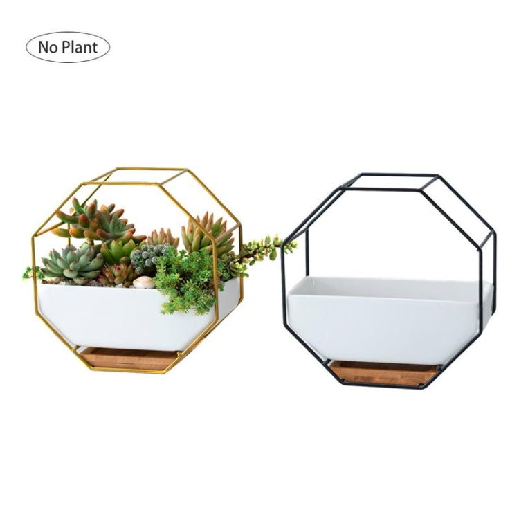 Lisslune | Simple octagonal geometric wall-mounted table succulent plate bamboo support iron frame flower pot (Gold)
