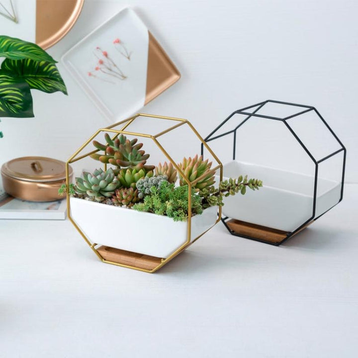 Lisslune | Simple octagonal geometric wall-mounted table succulent plate bamboo support iron frame flower pot (Gold)