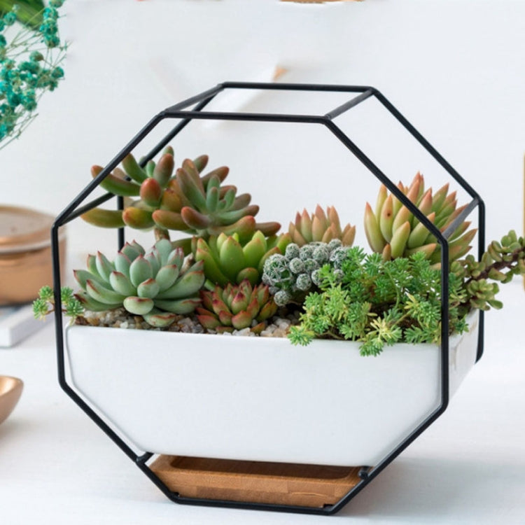 Lisslune | Simple octagonal geometric wall hanging table succulent plate bamboo support iron frame flower pot (black)