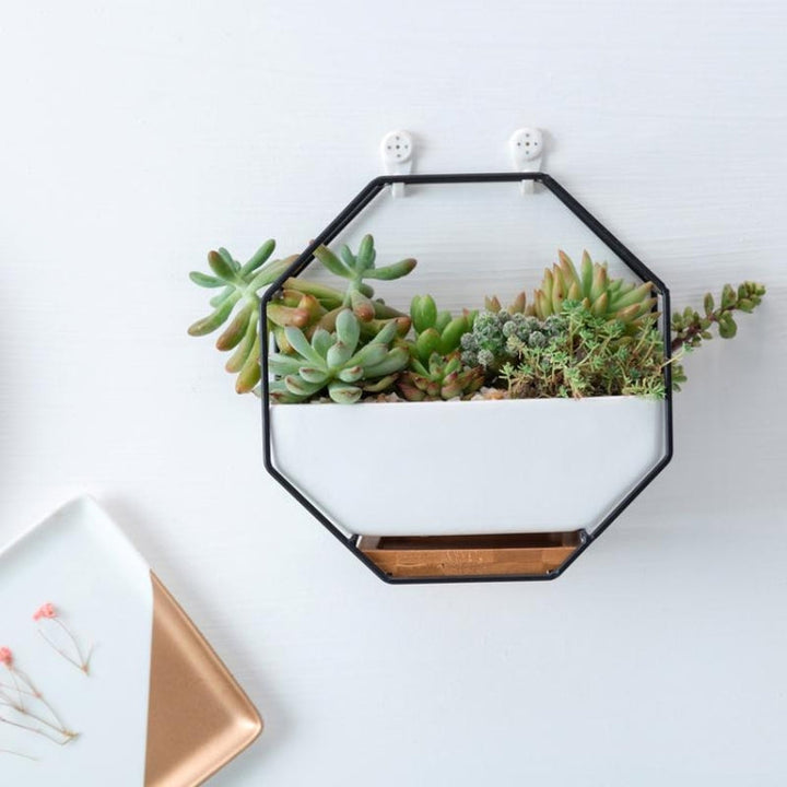 Lisslune | Simple octagonal geometric wall hanging table succulent plate bamboo support iron frame flower pot (black)