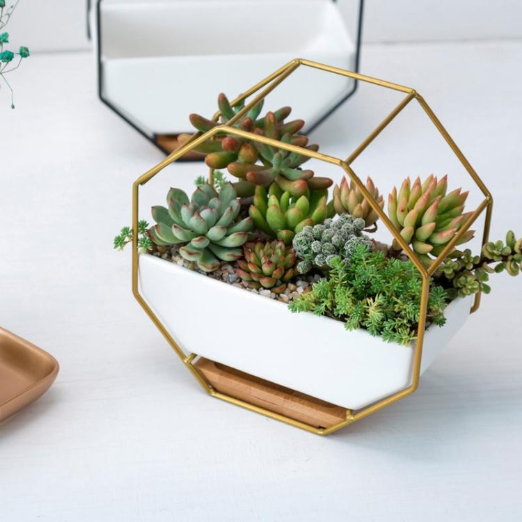 Lisslune | Simple octagonal geometric wall hanging table succulent plate bamboo support iron frame flower pot (black)