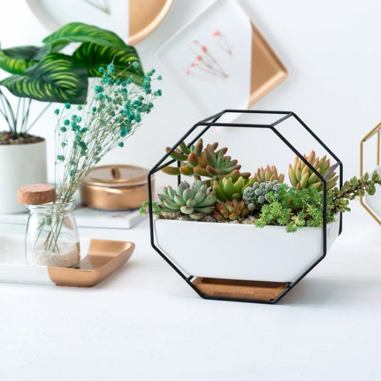 Lisslune | Simple octagonal geometric wall hanging table succulent plate bamboo support iron frame flower pot (black)