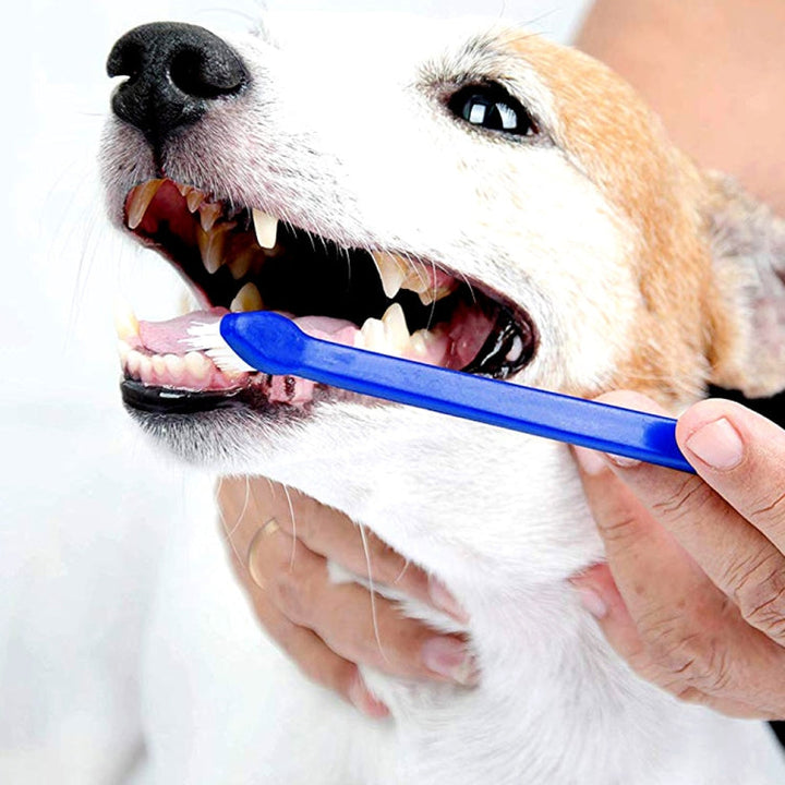 10 pieces dog cat effective pet oral care pet toothbrush, specification: blue handle + medium bristles (blue)
