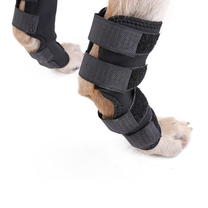 DogLemi PD60041 Dog Hock Bandage Animal Supportive Hind Dog Compression Sleeve Protects Wounds and Injuries, Size:S
