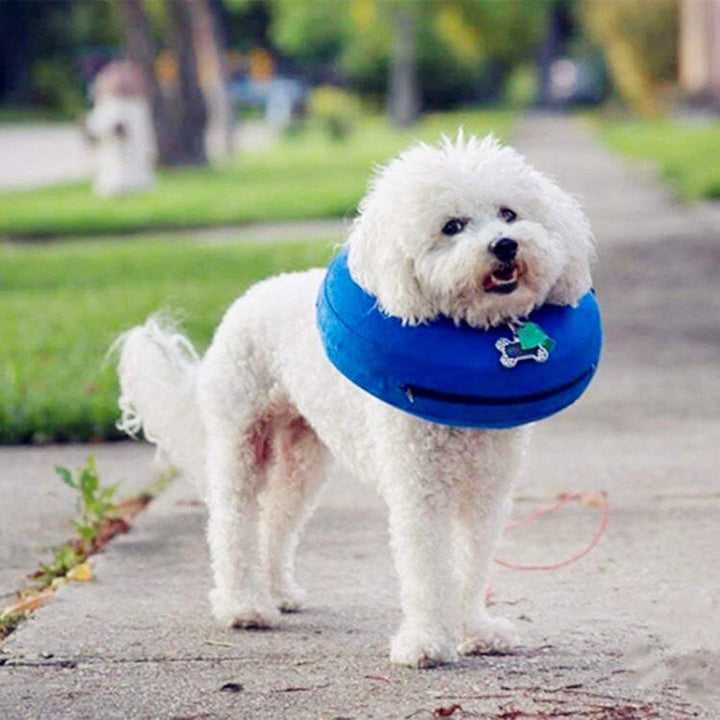 Inflatable Pet Collar Pet Care Warm Protection Wound Protection Collar, Size:M (CQLQ02)