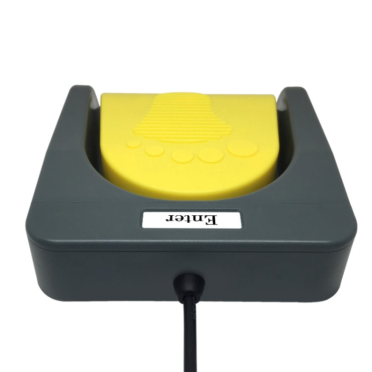 Lisslune | Pcsensor USB foot pedal control switch keyboard adapter for computer, model: FS2016