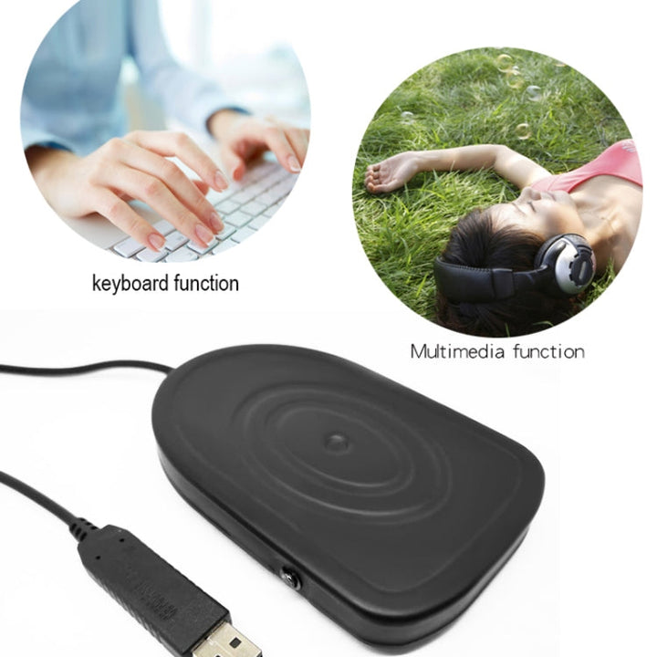 Lisslune | Pcsensor USB foot pedal control switch keyboard adapter for computer, model: FS2019