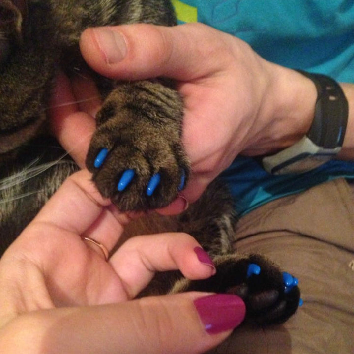 20 PCS Silicone Soft Cat Nail Caps / Cat Paw Claw / Pet Nail Protection / Cat Nail Cover, Size:S (Black)