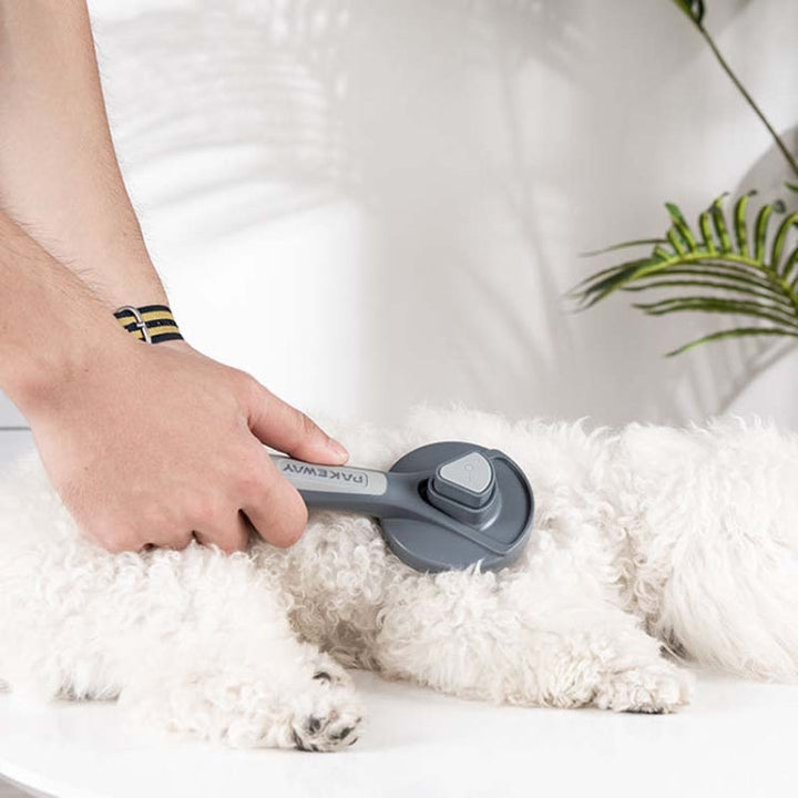 Pet Self-Cleaning Comb Cat Comb Dog Needle Comb Cat Hair Removal Comb Swimming Brush (Fresh Mint)