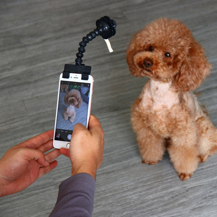 Pet Camera Artifact Dog Cat Looks At Camera Phone Clip (White)