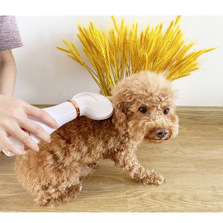 Pet Hair Dryer Cat & Dog Cleaning Electric Comb, Specification: US Plug (Green)