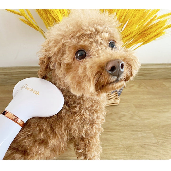 Pet Hair Dryer Cat & Dog Cleaning Electric Comb, Specification: US Plug (Green)