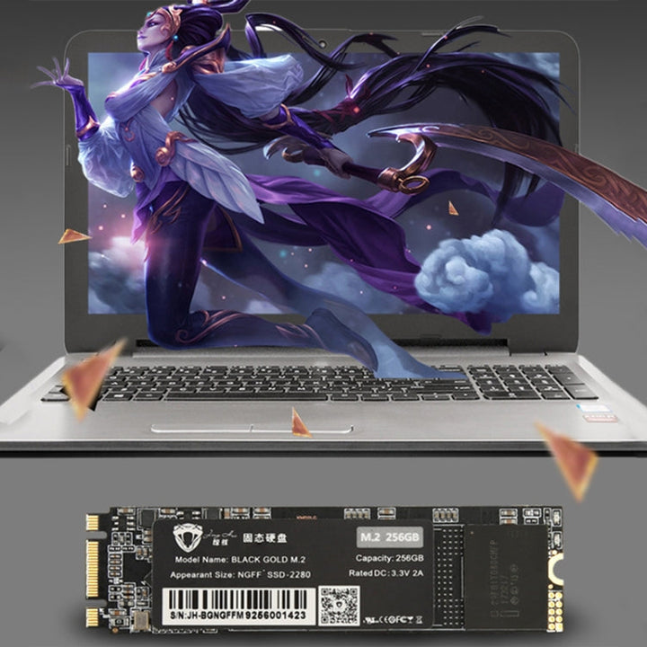 Lisslune | JingHai M.2 NGFF SSD Notebook Desktop Solid State Drive, Capacity:1TB
