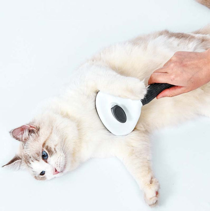 Stainless steel needle automatic cleaning pet hair removal dog brush pet comb (Pink thick needle)