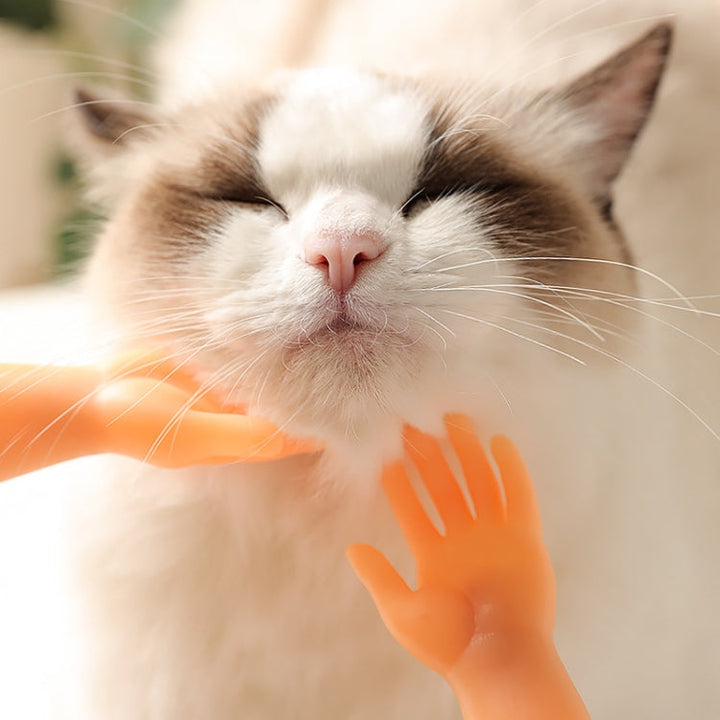 Dog massage finger cots and cat gloves