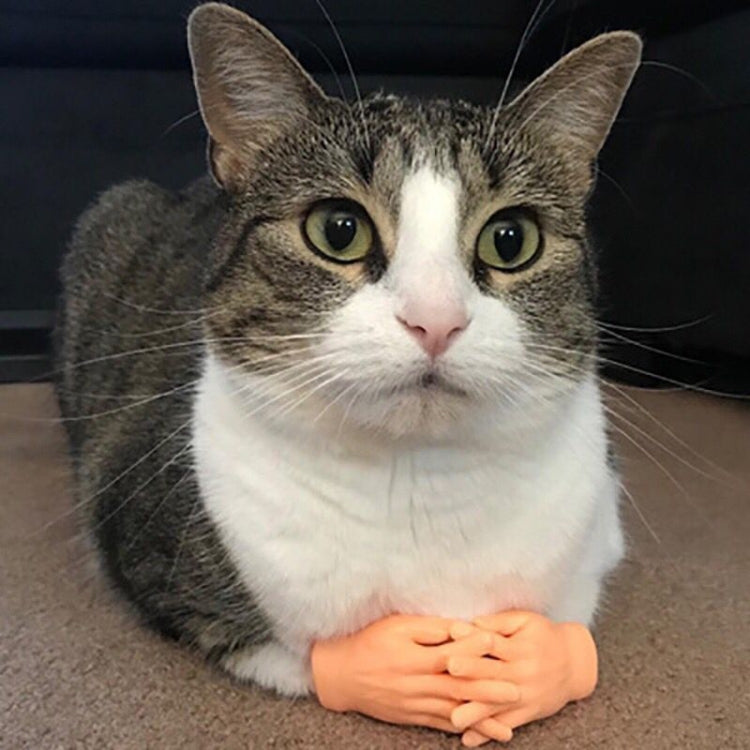 Dog massage finger cots and cat gloves