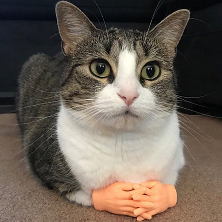 Dog massage finger cots and cat gloves