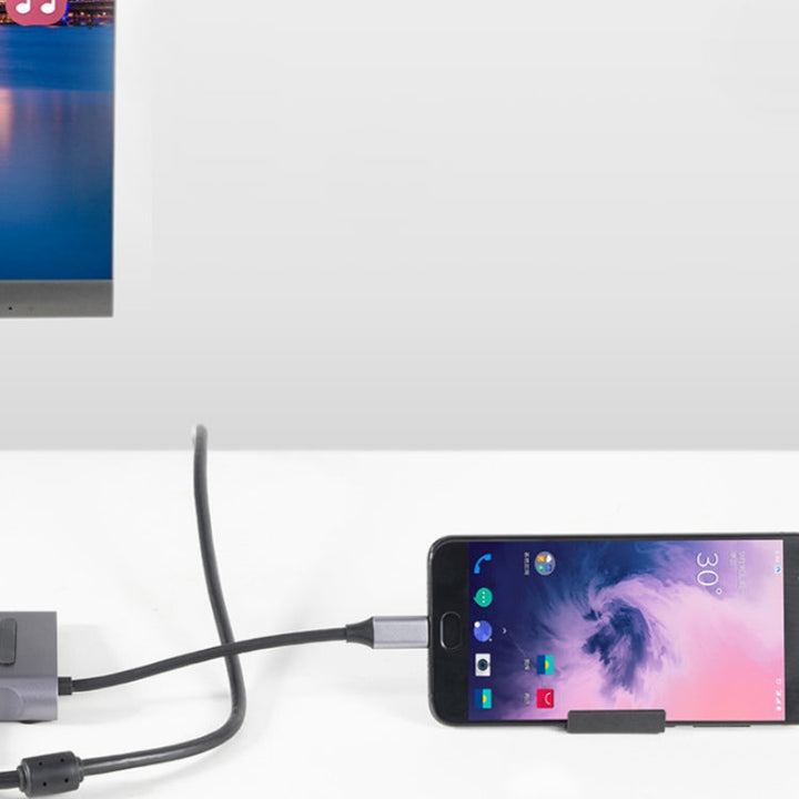 Lisslune | 10 in 1 Type-C Multi-Function Docking Station PD Fast Charging HUB