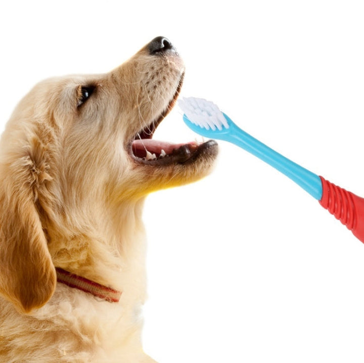 Pet Double-Headed Toothbrush Pet Dental Cleaning Products (Blue)