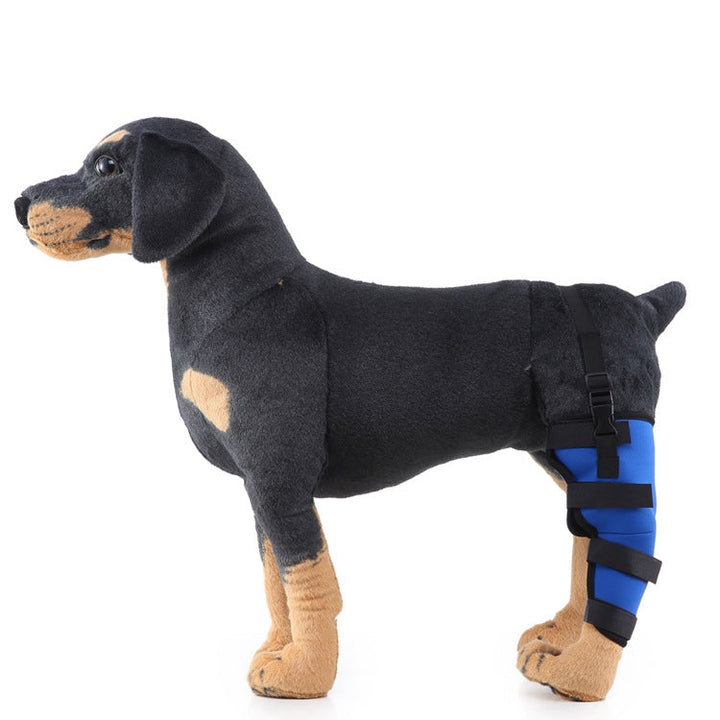 HJ19 Veterinary Surgery Rehabilitation Hind Leg Protection Walking Aids, Size: M (Blue Left Hind Legs)