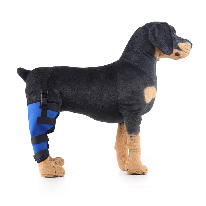 HJ19 Veterinary Surgery Rehabilitation Hind Leg Protection Walking Aids, Size: M (Blue Right Hind Leg Protection)