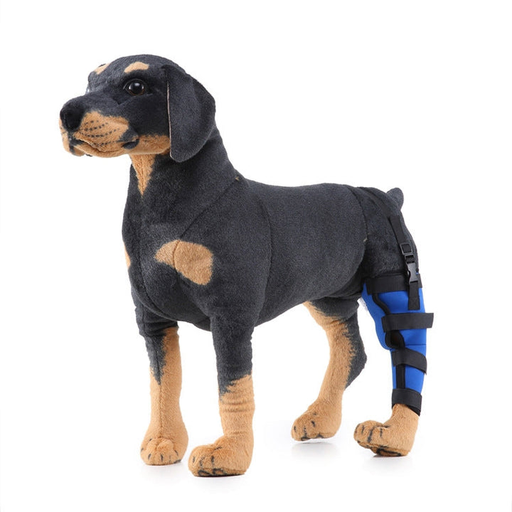 HJ19 Pet Surgery Rehabilitation Hind Leg Protection Walking Aids, Size: L(Blue Left Hind Leg)