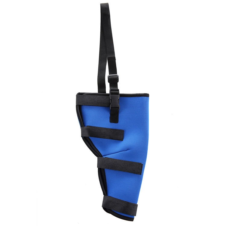 HJ19 Pet Surgery Rehabilitation Hind Leg Protection Walking Aids, Size: L(Blue Left Hind Leg)